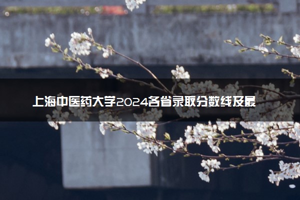 上海中医药大学2024各省录取分数线及最低位次是多少