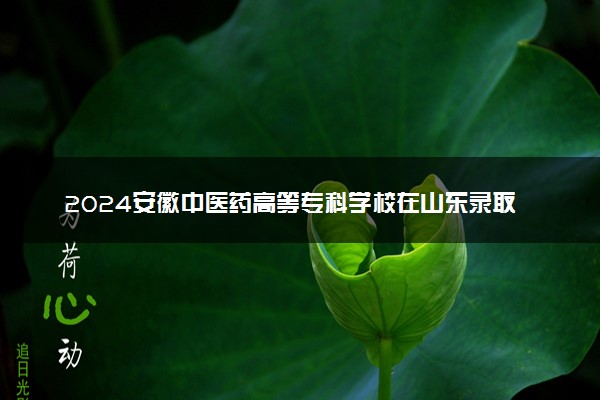 2024安徽中医药高等专科学校在山东录取分数线 各专业分数及位次