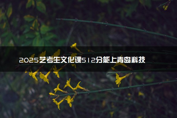 2025艺考生文化课512分能上青岛科技大学吗