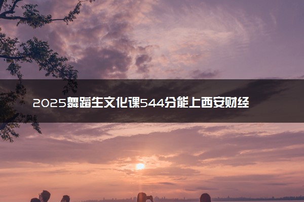 2025舞蹈生文化课544分能上西安财经大学吗