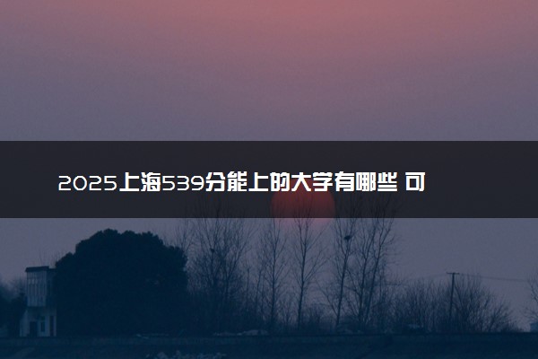 2025上海539分能上的大学有哪些 可以报考院校名单