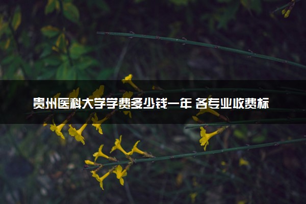 贵州医科大学学费多少钱一年 各专业收费标准（2025年参考）