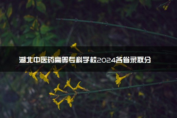 湖北中医药高等专科学校2024各省录取分数线及最低位次是多少