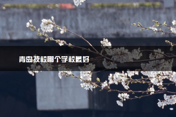 青岛技校哪个学校最好