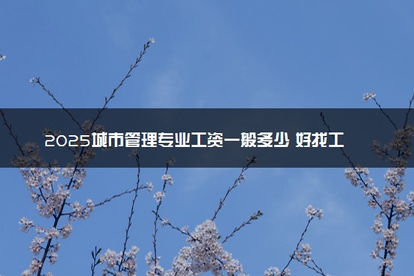 2025城市管理专业工资一般多少 好找工作吗