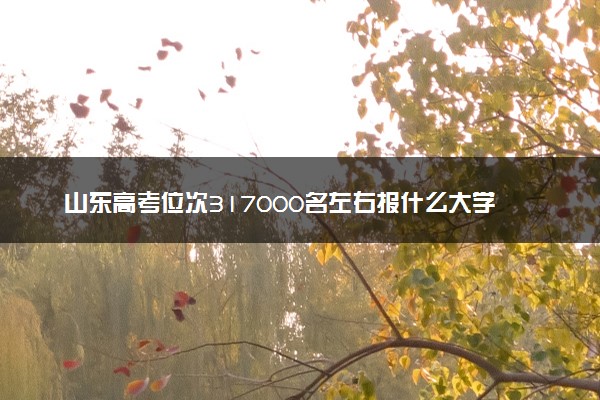 山东高考位次317000名左右报什么大学好（2025年参考）