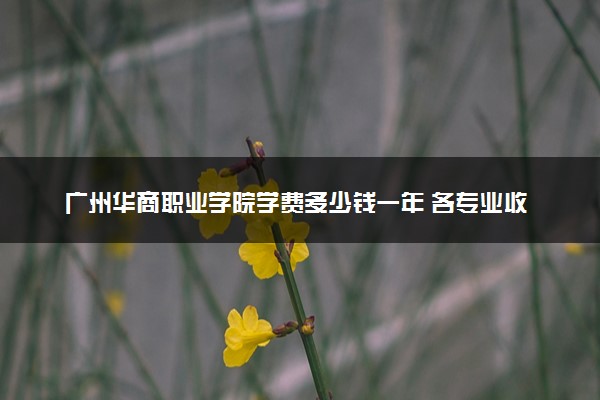 广州华商职业学院学费多少钱一年 各专业收费标准（2025年参考）
