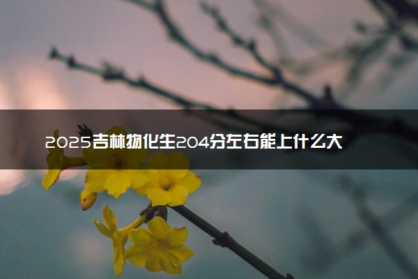 2025吉林物化生204分左右能上什么大学 可以报考的院校名单