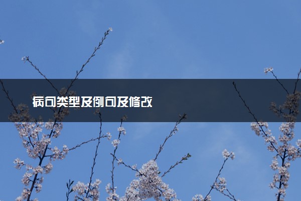 病句类型及例句及修改