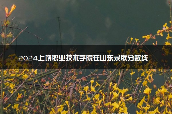 2024上饶职业技术学院在山东录取分数线 各专业分数及位次