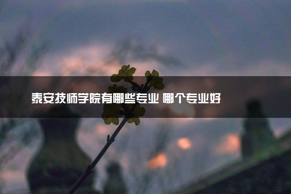 泰安技师学院有哪些专业 哪个专业好