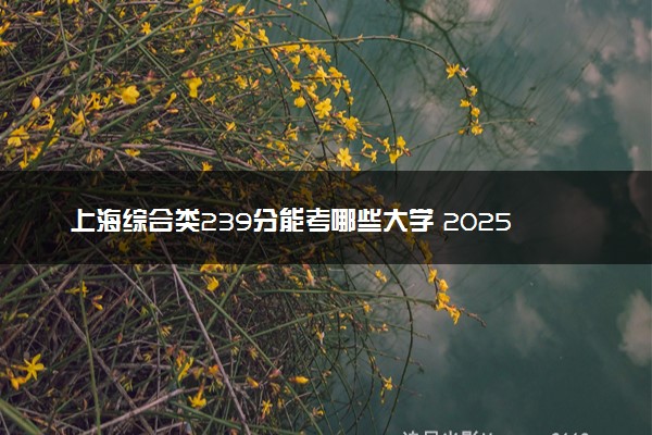上海综合类239分能考哪些大学 2025考生稳上的大学名单
