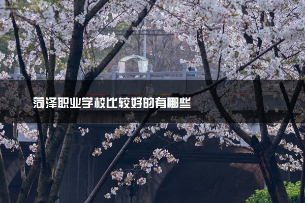 菏泽职业学校比较好的有哪些