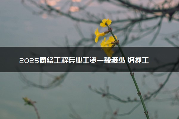 2025网络工程专业工资一般多少 好找工作吗