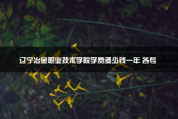 辽宁冶金职业技术学院学费多少钱一年 各专业收费标准（2025年参考）