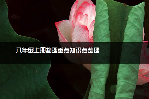 八年级上册物理重点知识点整理