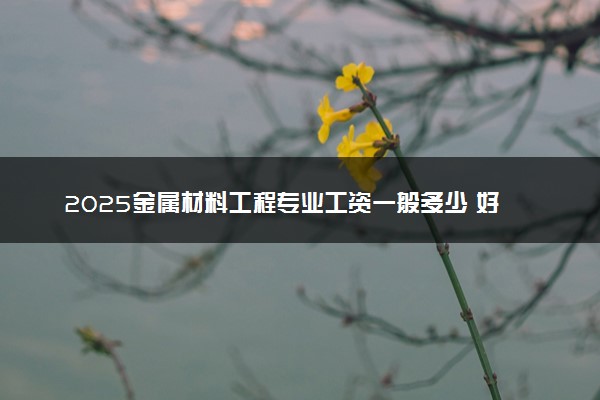 2025金属材料工程专业工资一般多少 好找工作吗