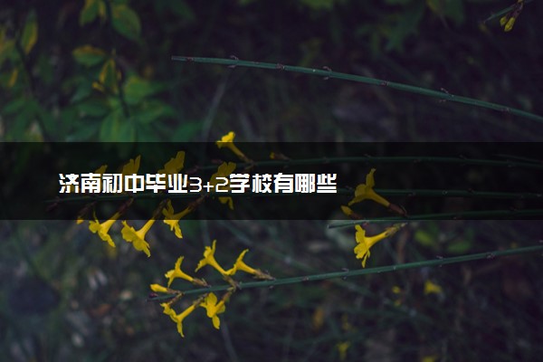 济南初中毕业3+2学校有哪些