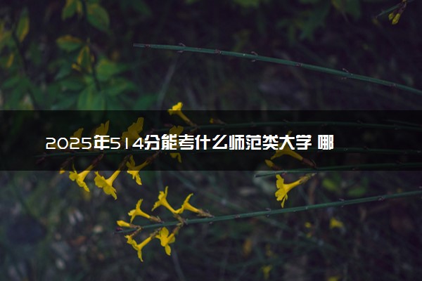 2025年514分能考什么师范类大学 哪些大学值得报