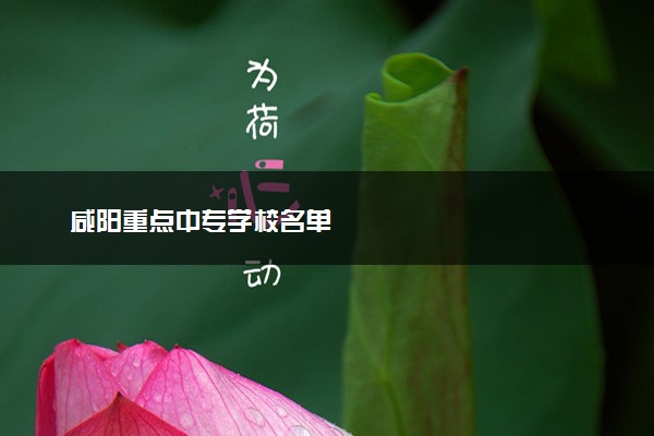 咸阳重点中专学校名单