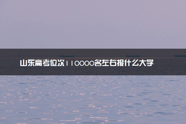 山东高考位次110000名左右报什么大学好（2025年参考）