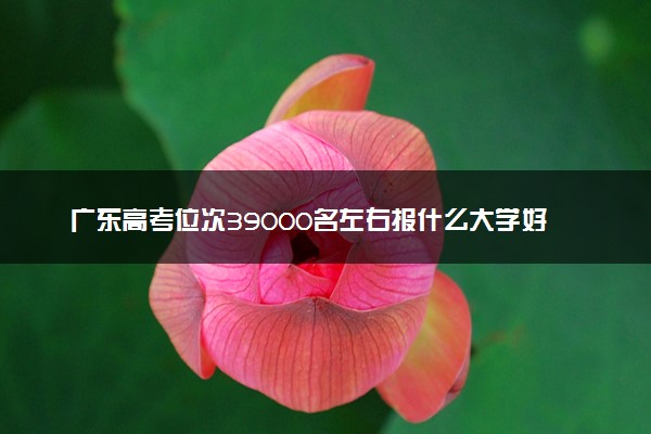 广东高考位次39000名左右报什么大学好（2025年参考）