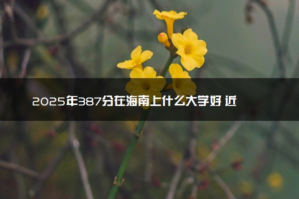 2025年387分在海南上什么大学好 近三年录取分数线是多少