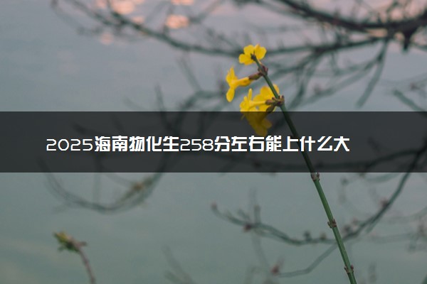 2025海南物化生258分左右能上什么大学 可以报考的院校名单