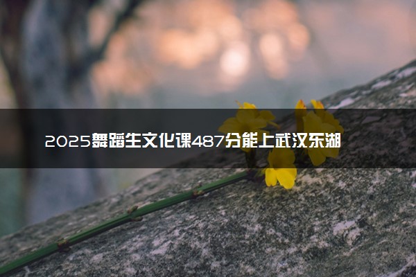 2025舞蹈生文化课487分能上武汉东湖学院吗