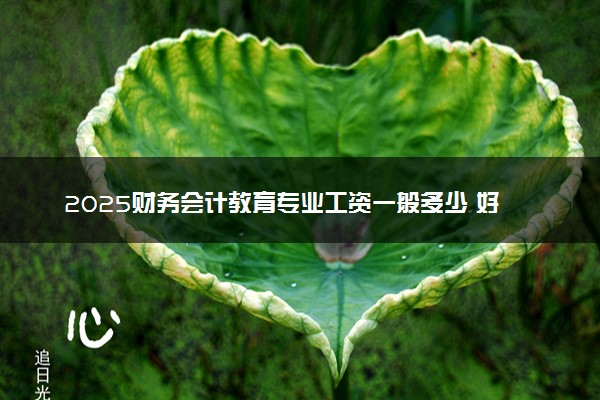 2025财务会计教育专业工资一般多少 好找工作吗