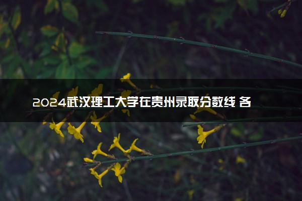 2024武汉理工大学在贵州录取分数线 各专业分数及位次