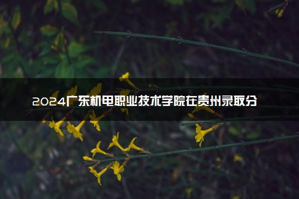 2024广东机电职业技术学院在贵州录取分数线 各专业分数及位次