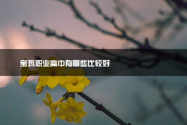 宝鸡职业高中有哪些比较好