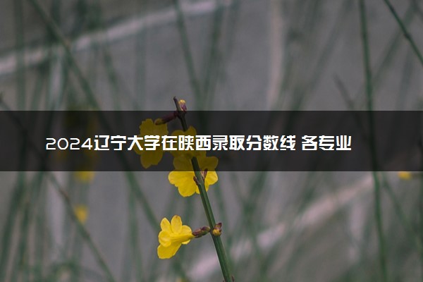 2024辽宁大学在陕西录取分数线 各专业分数及位次