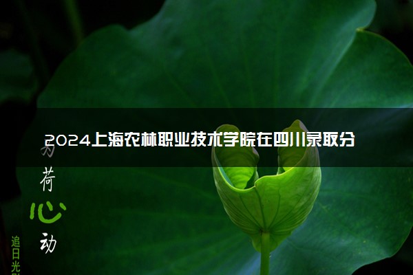 2024上海农林职业技术学院在四川录取分数线 各专业分数及位次