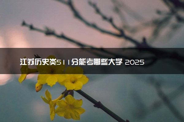 江苏历史类511分能考哪些大学 2025考生稳上的大学名单