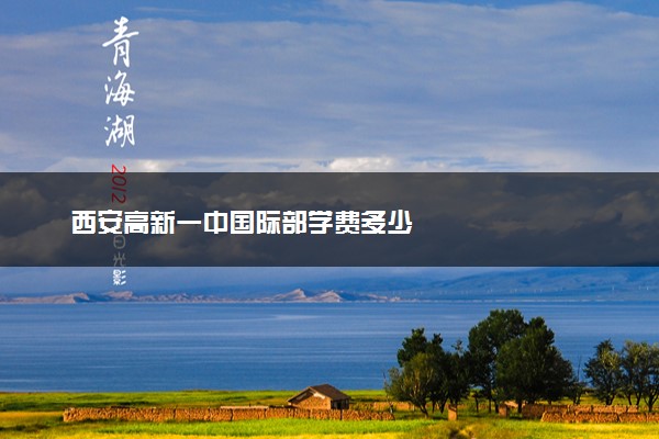 西安高新一中国际部学费多少