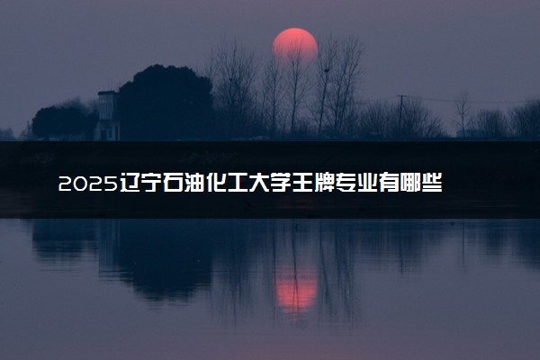 2025辽宁石油化工大学王牌专业有哪些 最好的专业是什么