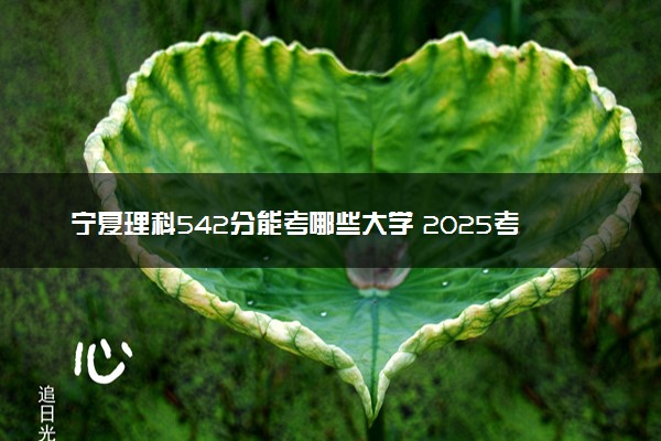 宁夏理科542分能考哪些大学 2025考生稳上的大学名单