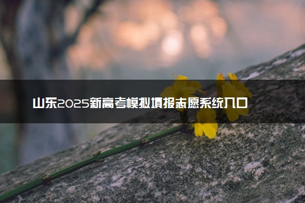 山东2025新高考模拟填报志愿系统入口 附填报时间及规则