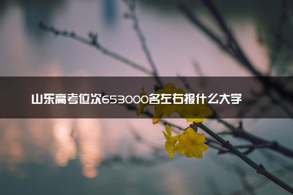 山东高考位次653000名左右报什么大学好（2025年参考）