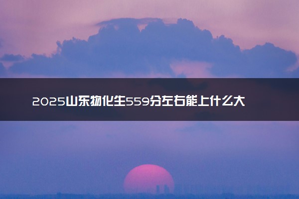 2025山东物化生559分左右能上什么大学 可以报考的院校名单