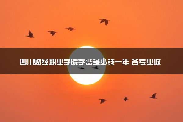 四川财经职业学院学费多少钱一年 各专业收费标准（2025年参考）