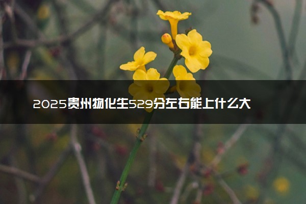 2025贵州物化生529分左右能上什么大学 可以报考的院校名单
