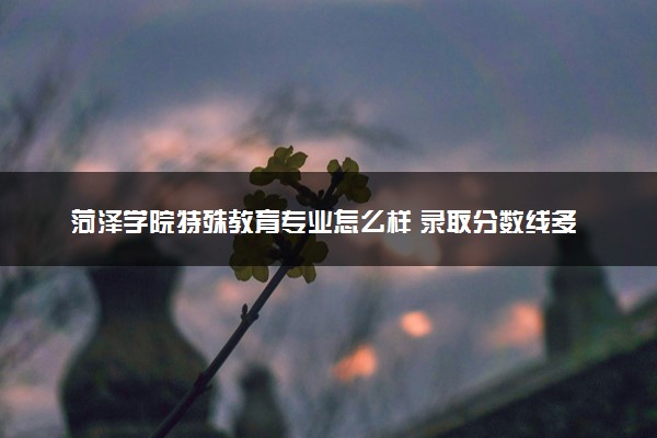菏泽学院特殊教育专业怎么样 录取分数线多少
