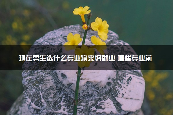 现在男生选什么专业将来好就业 哪些专业前景广阔