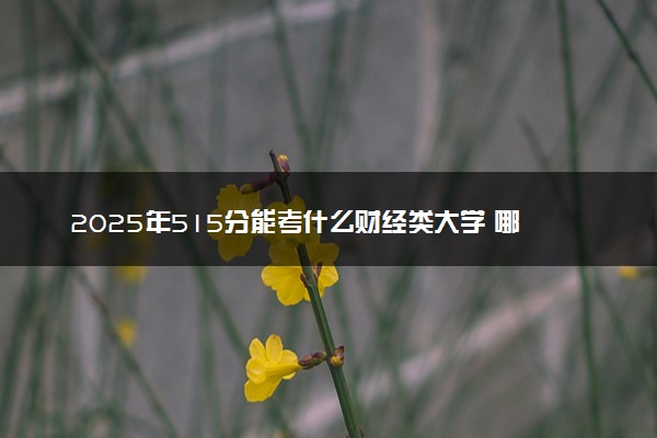 2025年515分能考什么财经类大学 哪些大学值得报