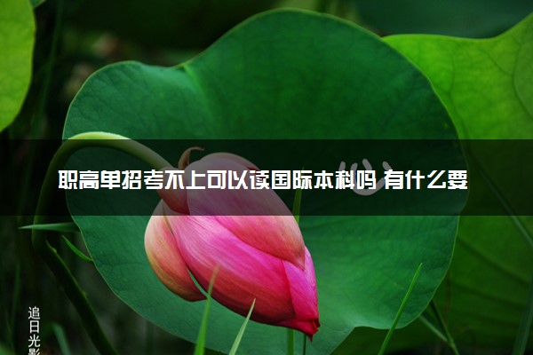 职高单招考不上可以读国际本科吗 有什么要求