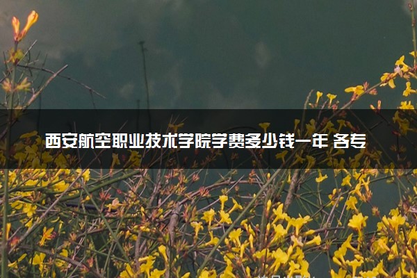 西安航空职业技术学院学费多少钱一年 各专业收费标准（2025年参考）