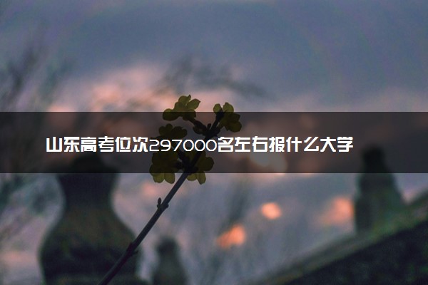 山东高考位次297000名左右报什么大学好（2025年参考）